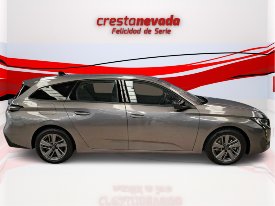 Imagen de Peugeot 308