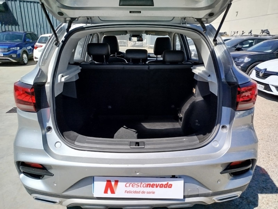 Imagen de Mg ZS