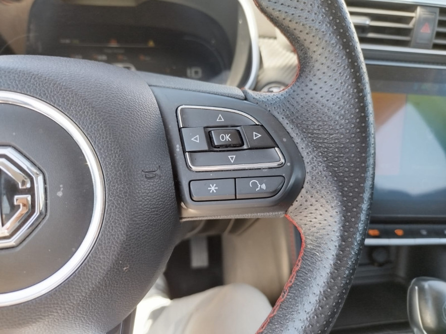 Imagen de Mg ZS