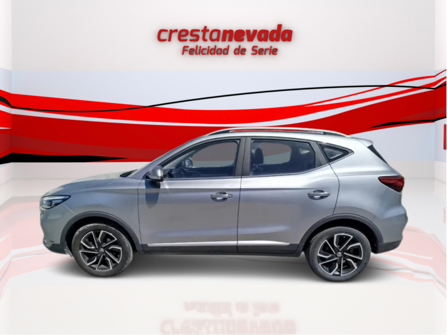 Imagen de Mg ZS