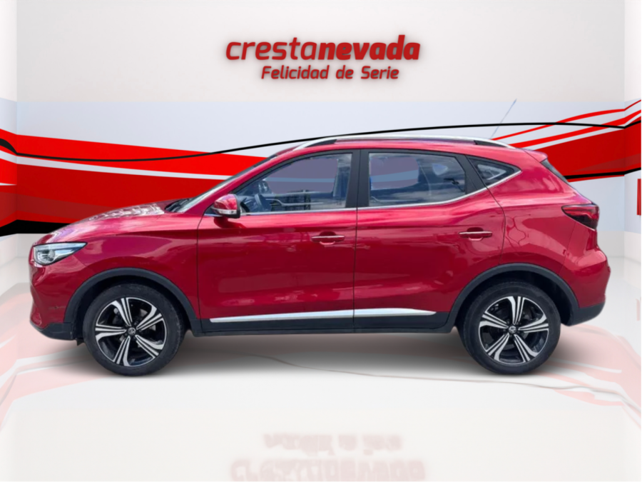 Imagen de Mg ZS