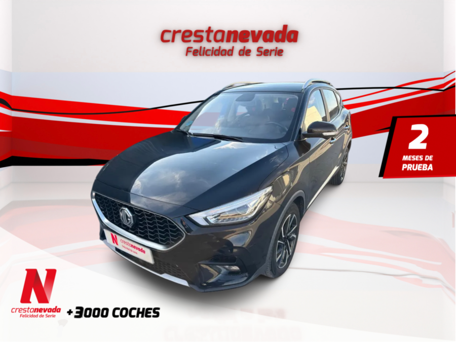 Imagen de Mg ZS