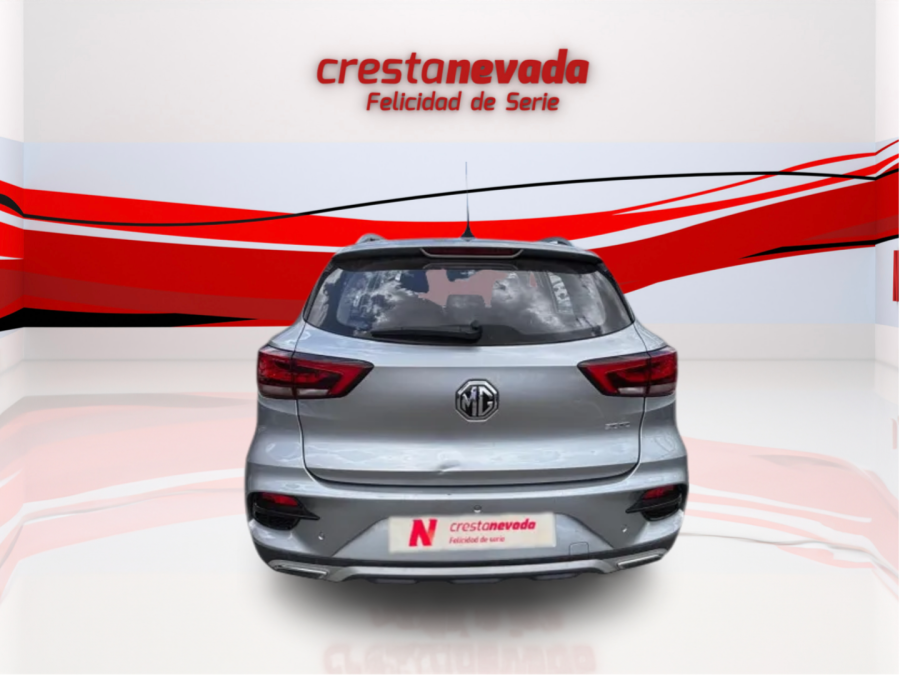 Imagen de Mg ZS
