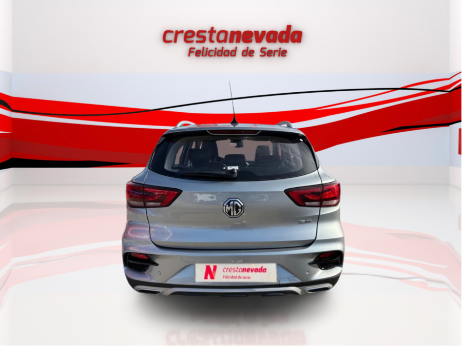 Imagen de Mg ZS