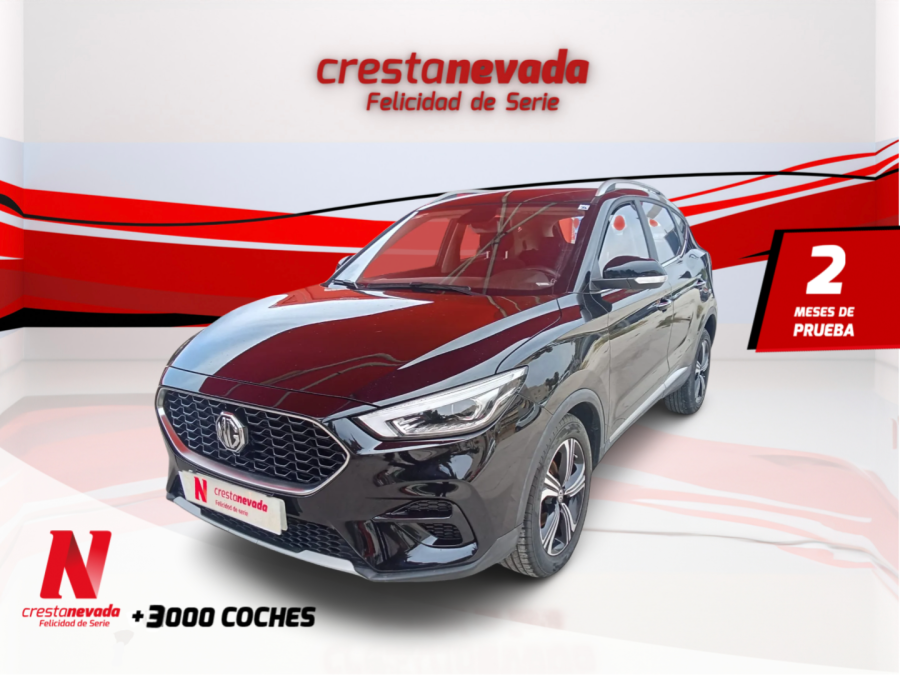 Imagen de Mg ZS