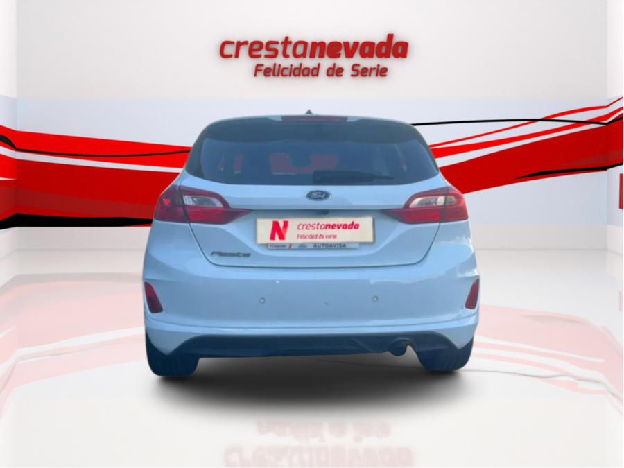 Imagen de Ford FIESTA