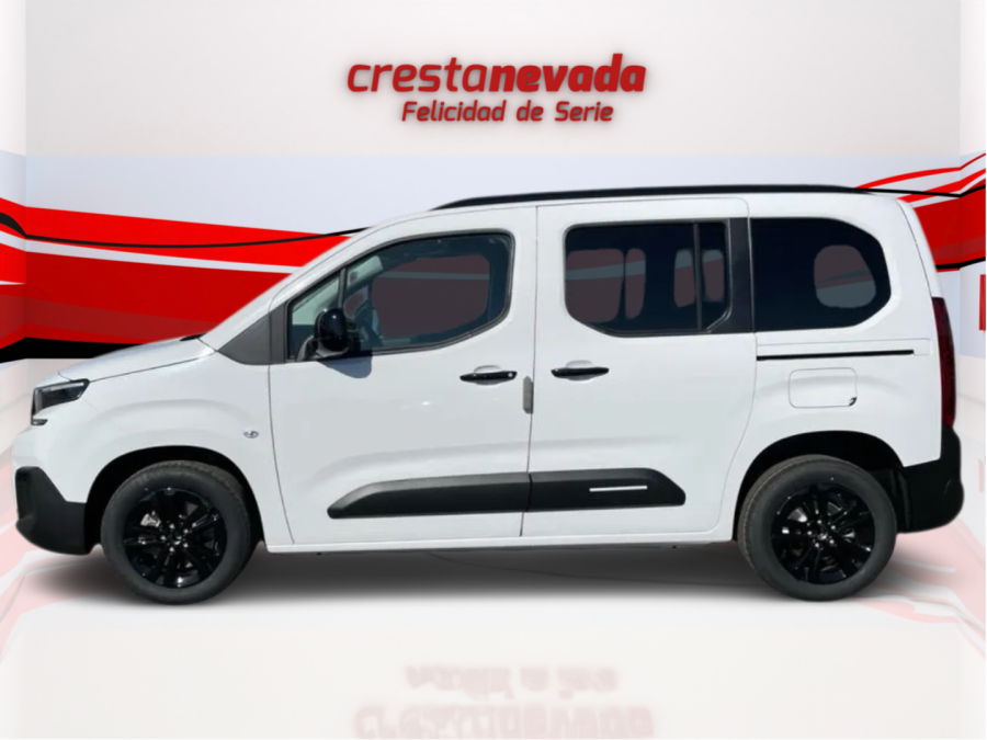 Imagen de Citroën BERLINGO