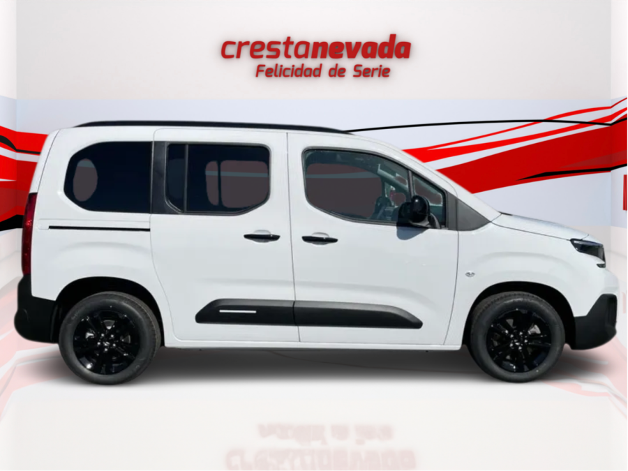 Imagen de Citroën BERLINGO