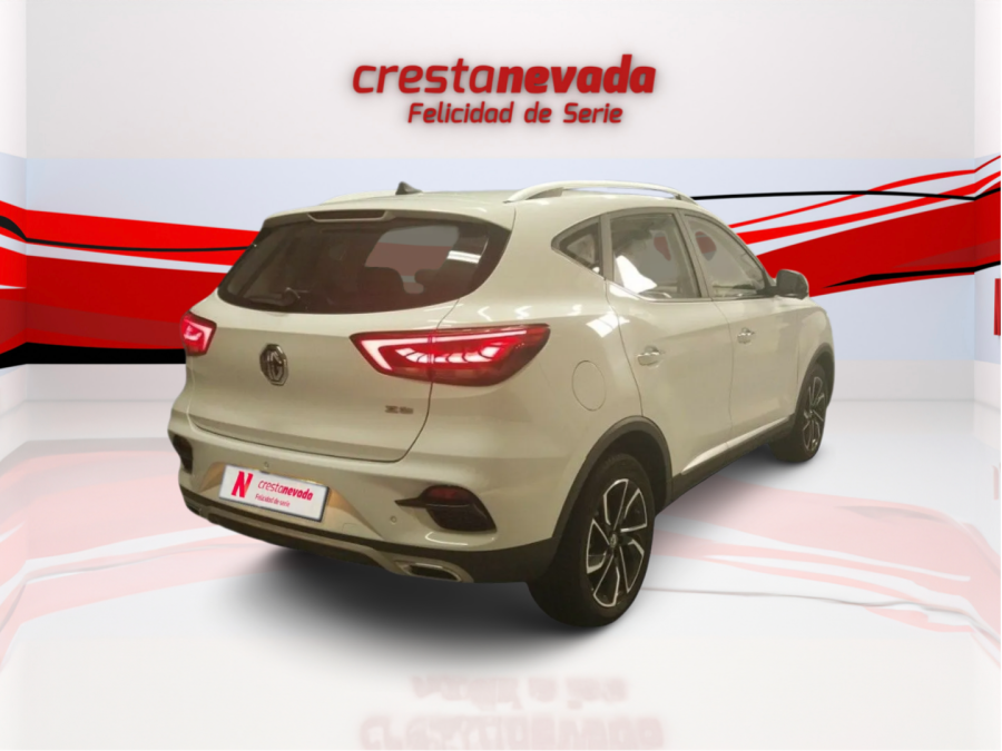 Imagen de Mg ZS