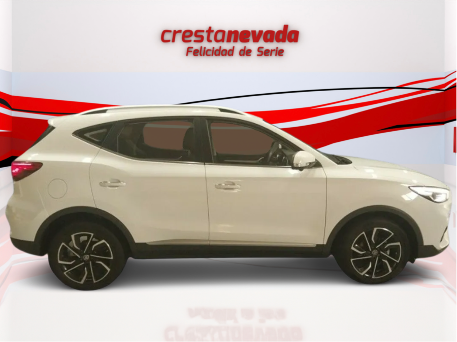 Imagen de Mg ZS