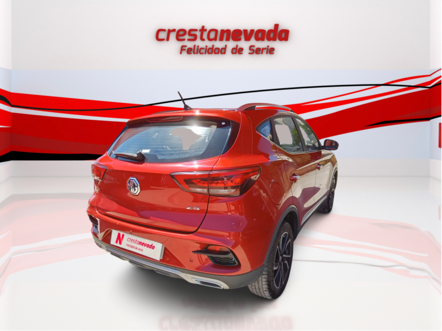 Imagen de Mg ZS