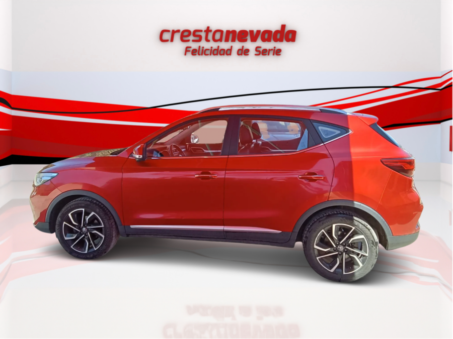 Imagen de Mg ZS