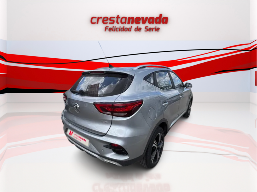 Imagen de Mg ZS
