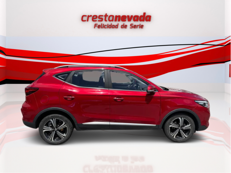 Imagen de Mg ZS