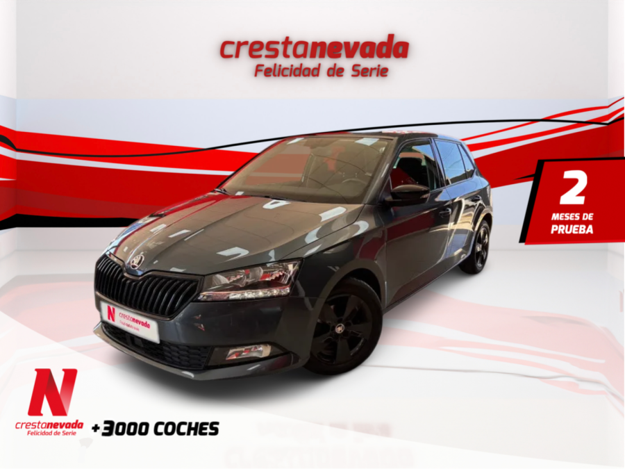 Imagen de Skoda Fabia