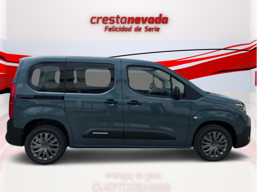 Imagen de Citroën BERLINGO