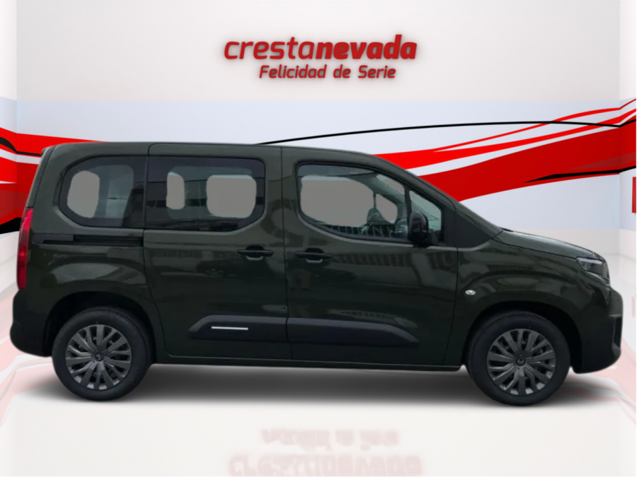 Imagen de Citroën BERLINGO
