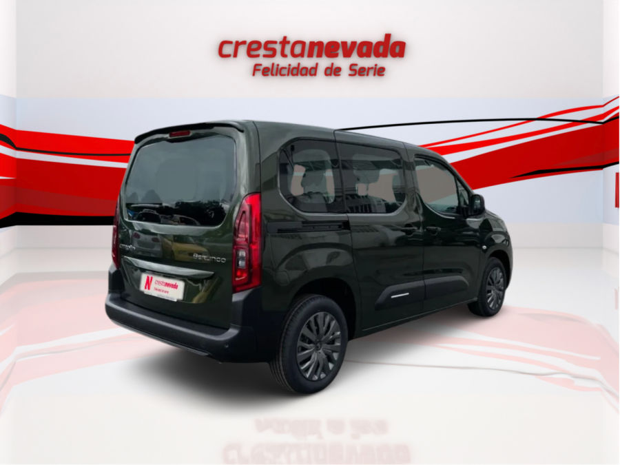 Imagen de Citroën BERLINGO