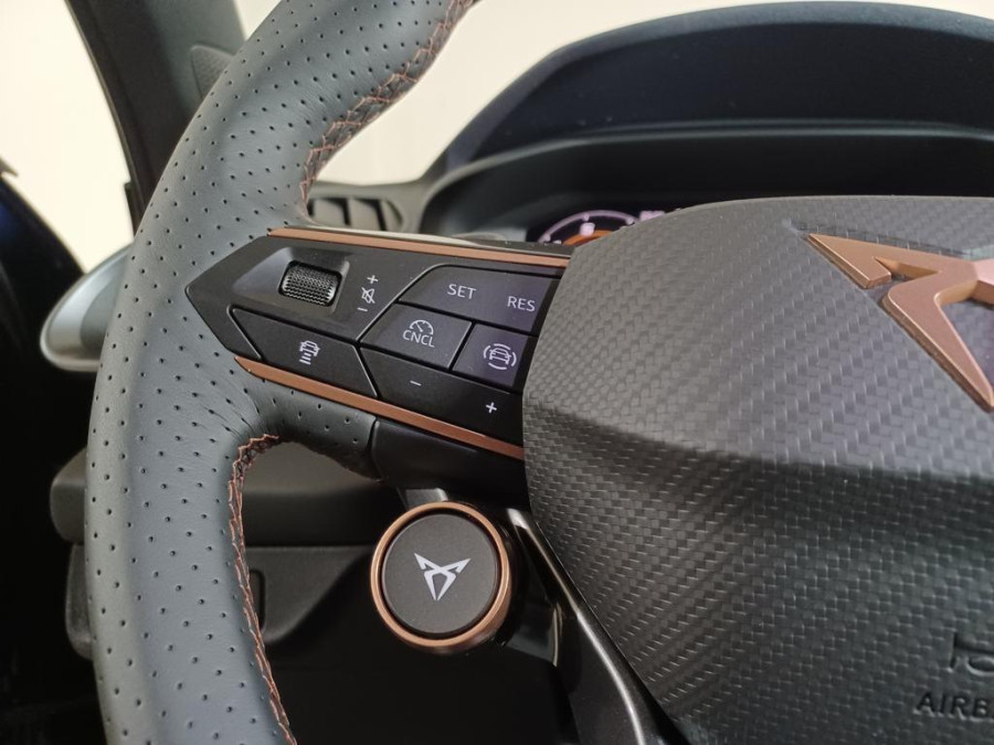 Imagen de cupra Terramar