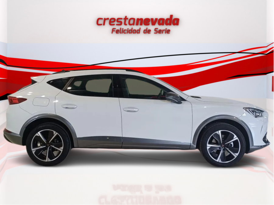 Imagen de cupra Formentor