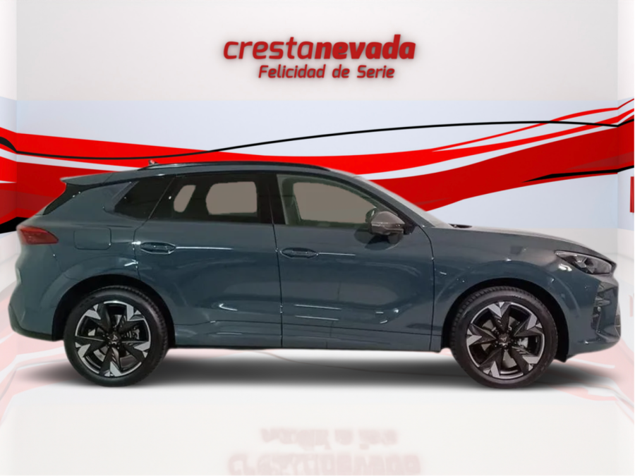 Imagen de cupra Terramar