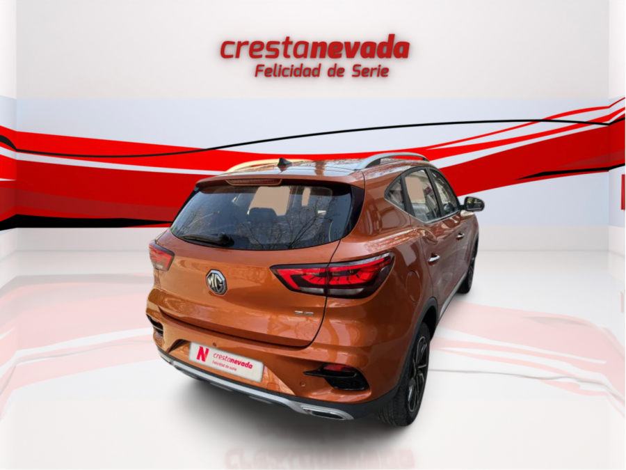 Imagen de Mg ZS