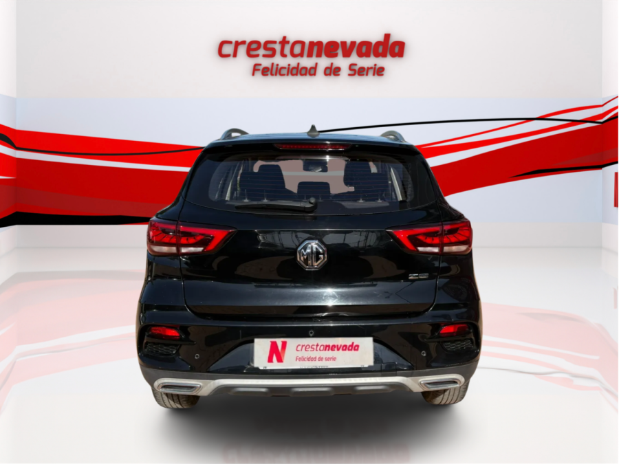 Imagen de Mg ZS