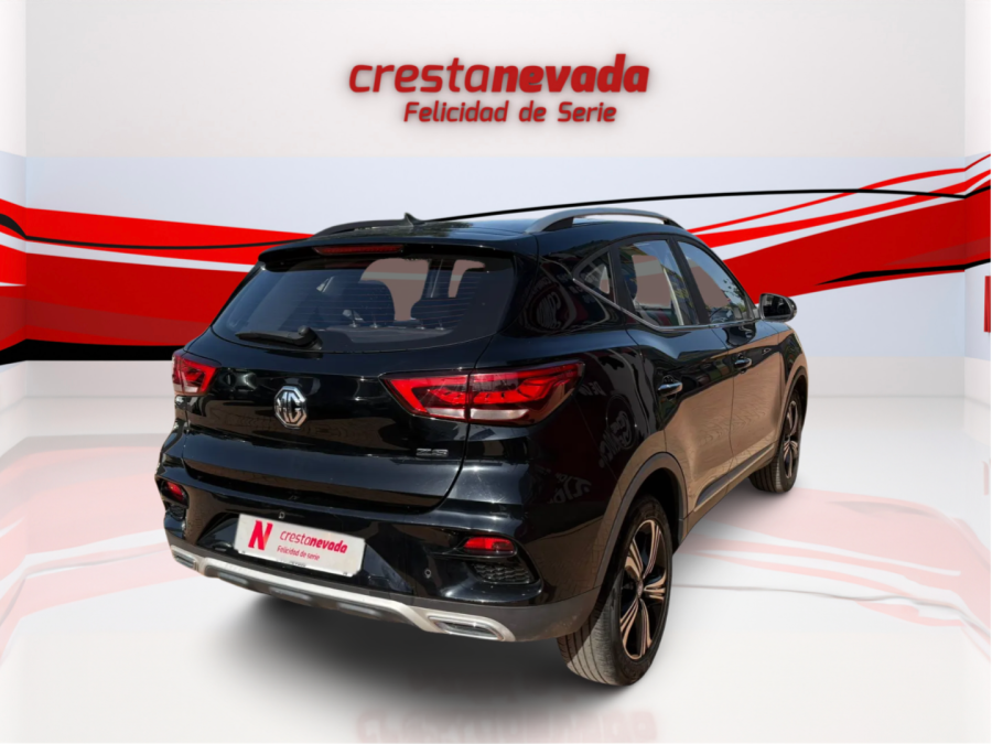 Imagen de Mg ZS