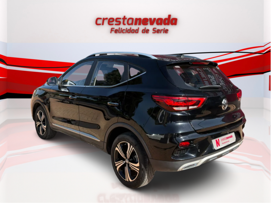 Imagen de Mg ZS