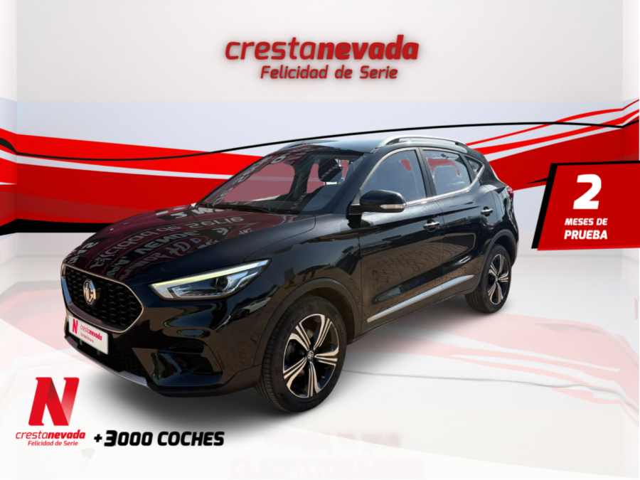 Imagen de Mg ZS