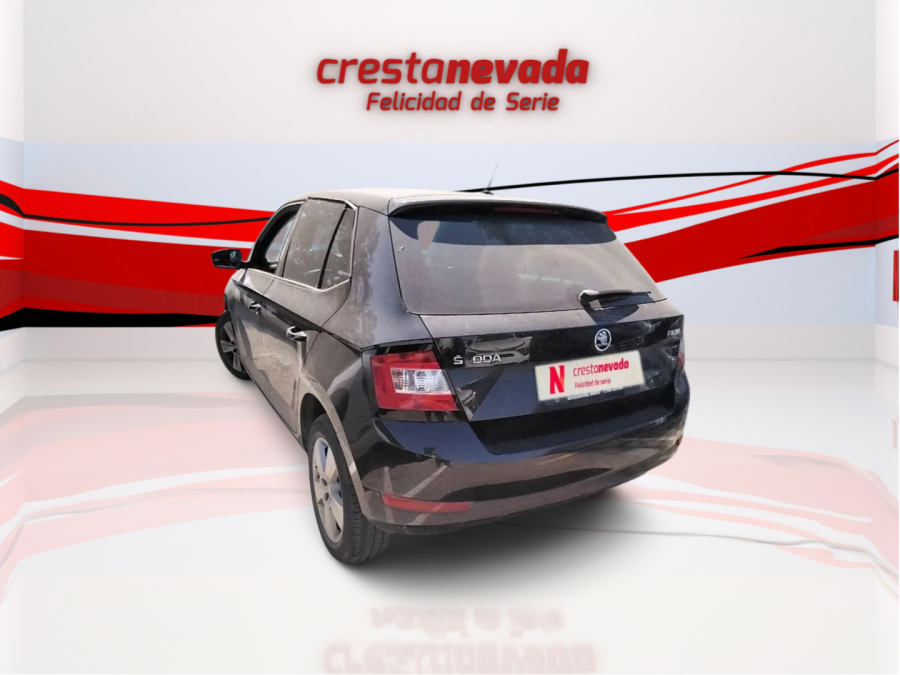 Imagen de Skoda Fabia