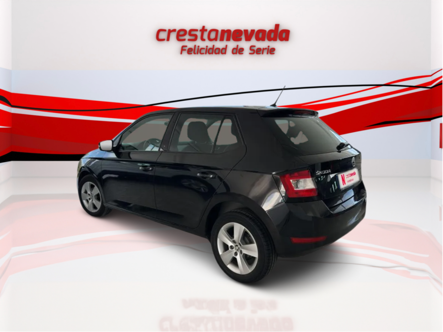 Imagen de Skoda Fabia
