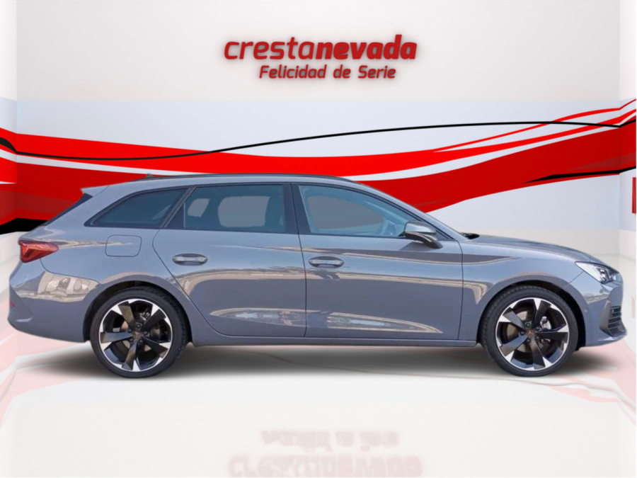 Imagen de cupra León