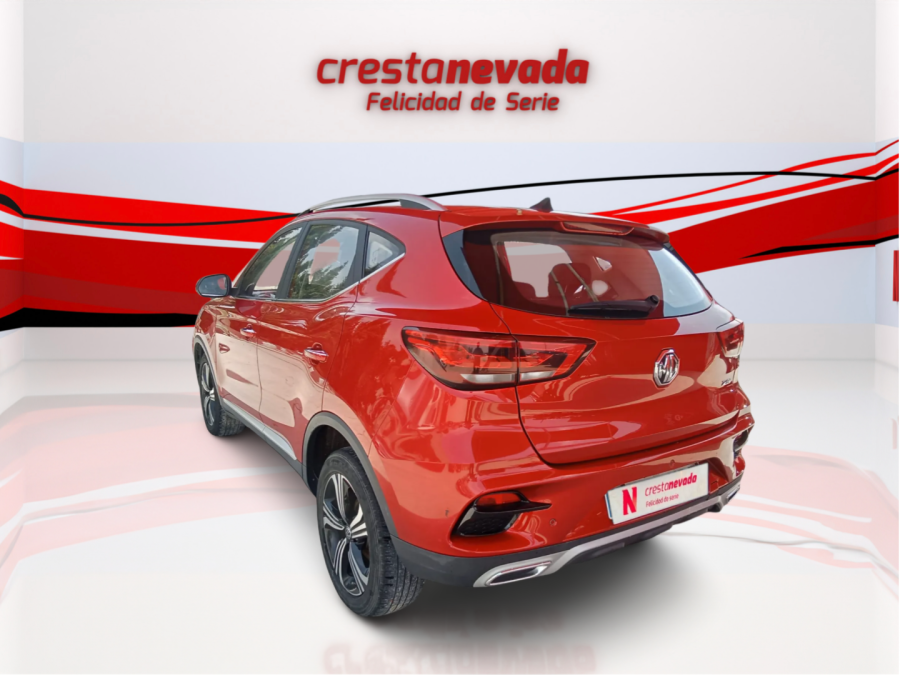 Imagen de Mg ZS