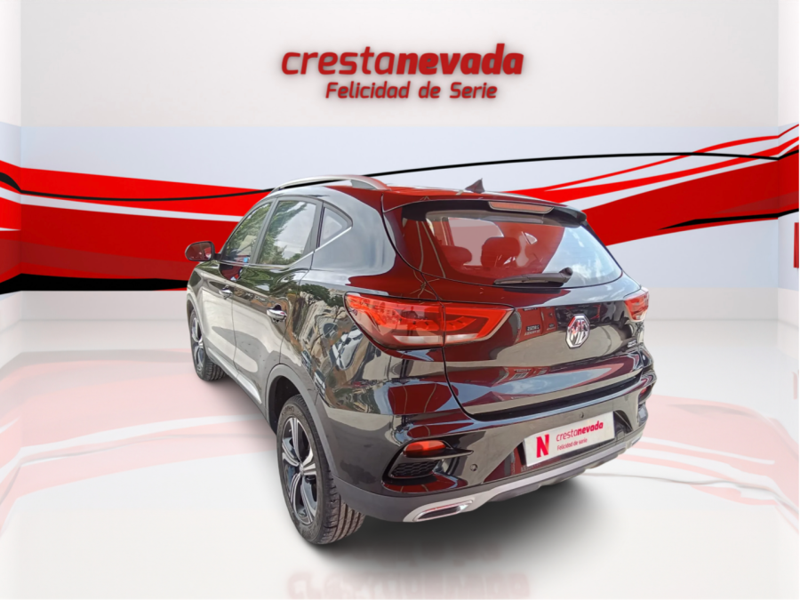Imagen de Mg ZS