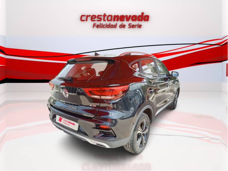 Imagen de Mg ZS