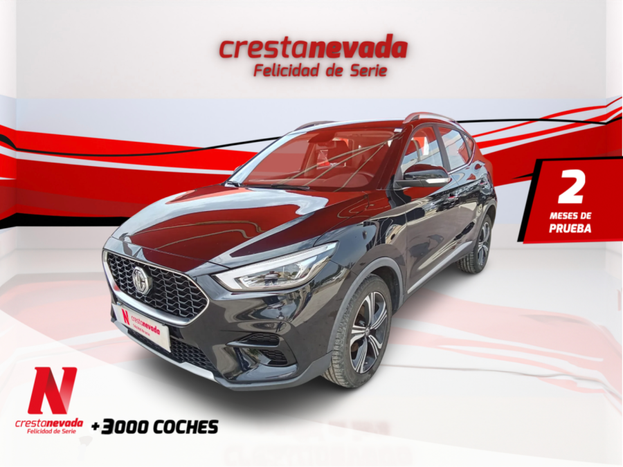 Imagen de Mg ZS