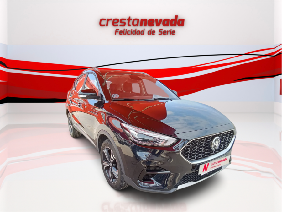 Imagen de Mg ZS
