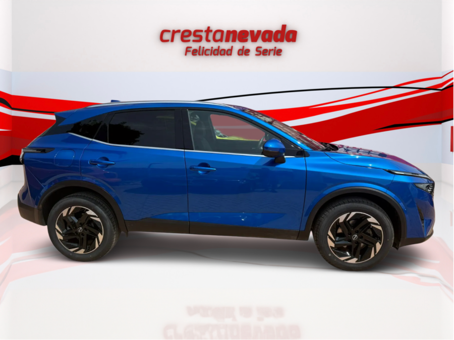 Imagen de NISSAN QASHQAI