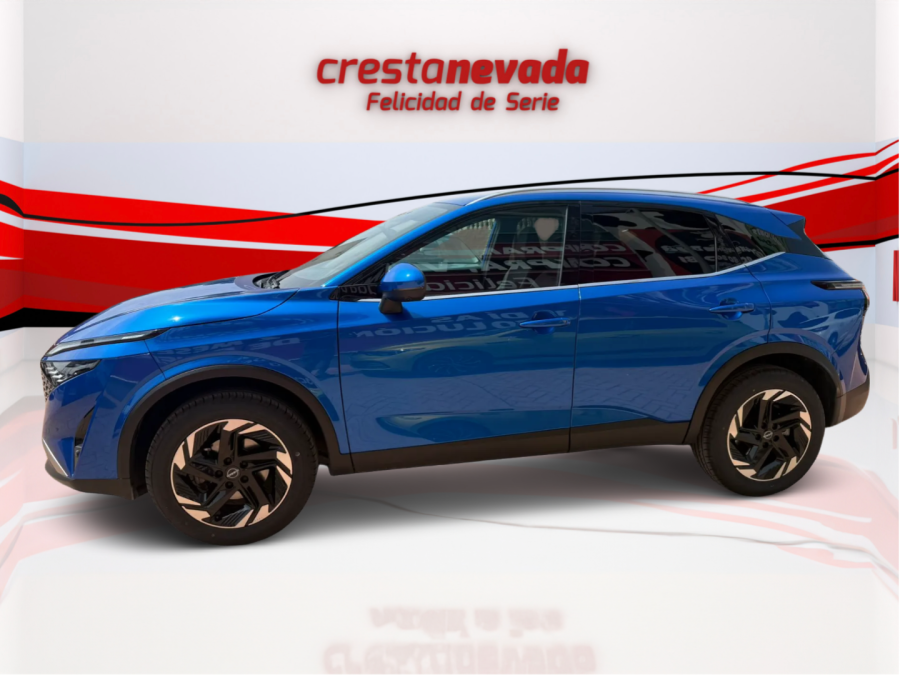 Imagen de NISSAN QASHQAI