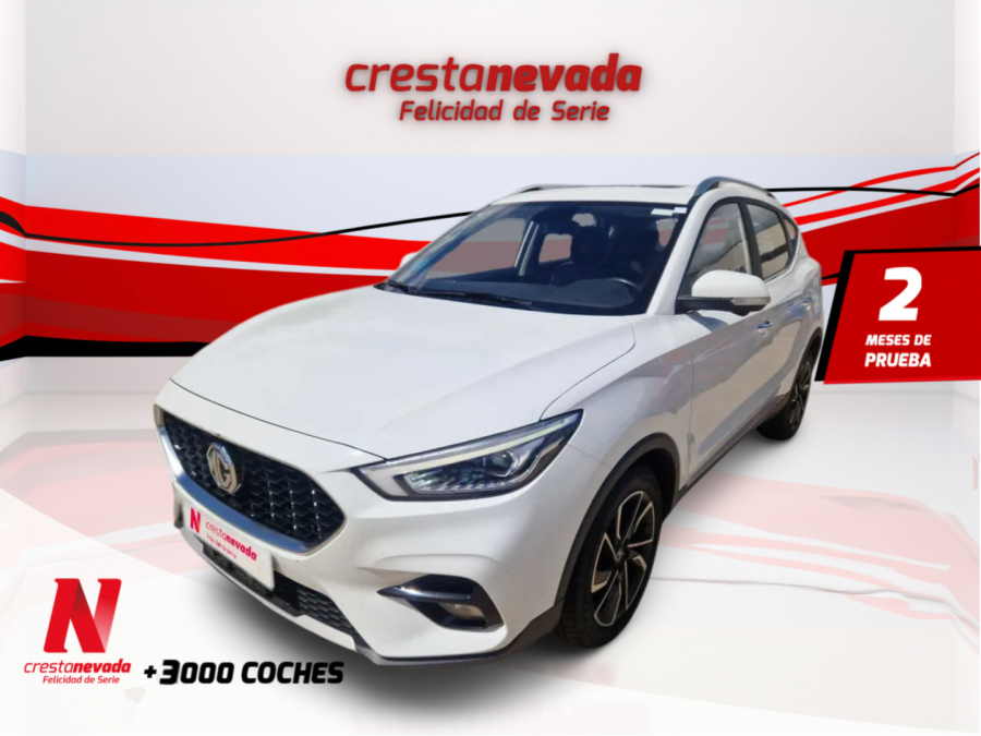Imagen de Mg ZS