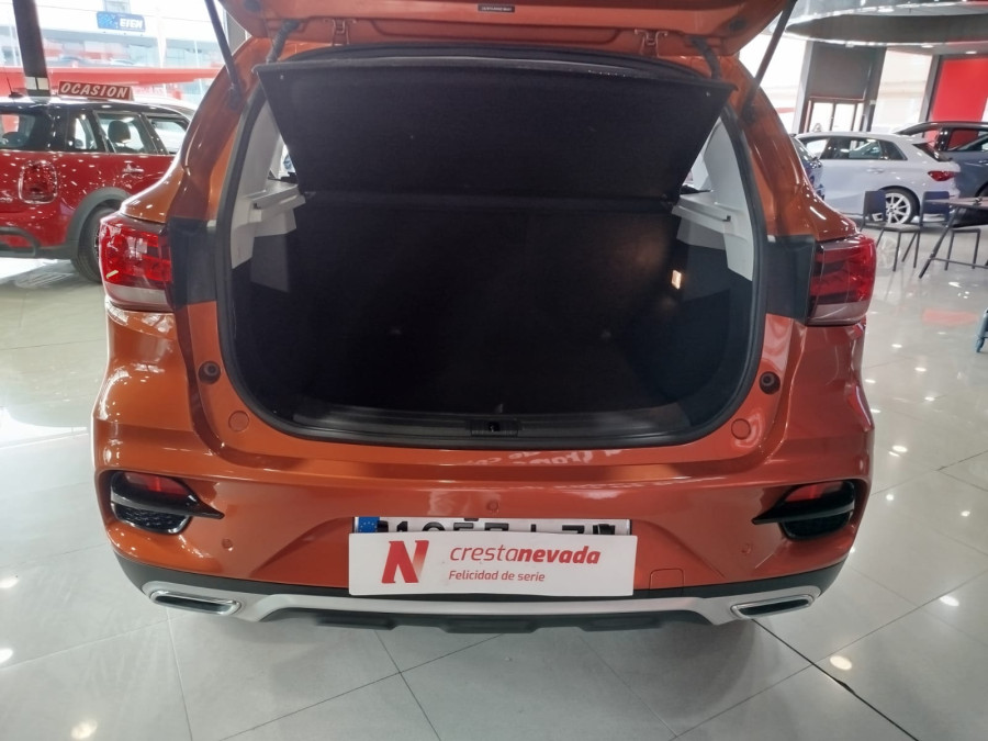Imagen de Mg ZS