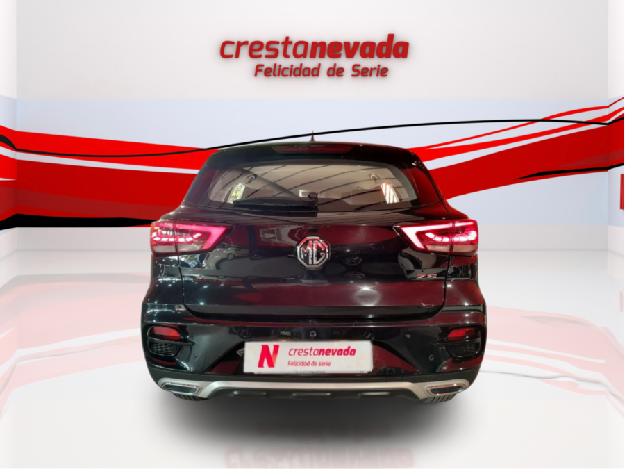 Imagen de Mg ZS