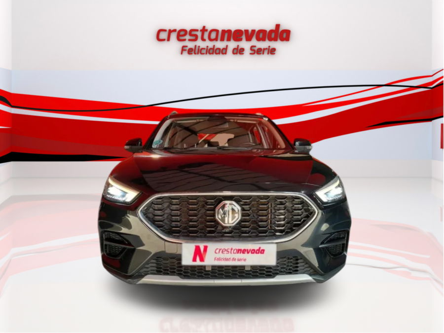 Imagen de Mg ZS