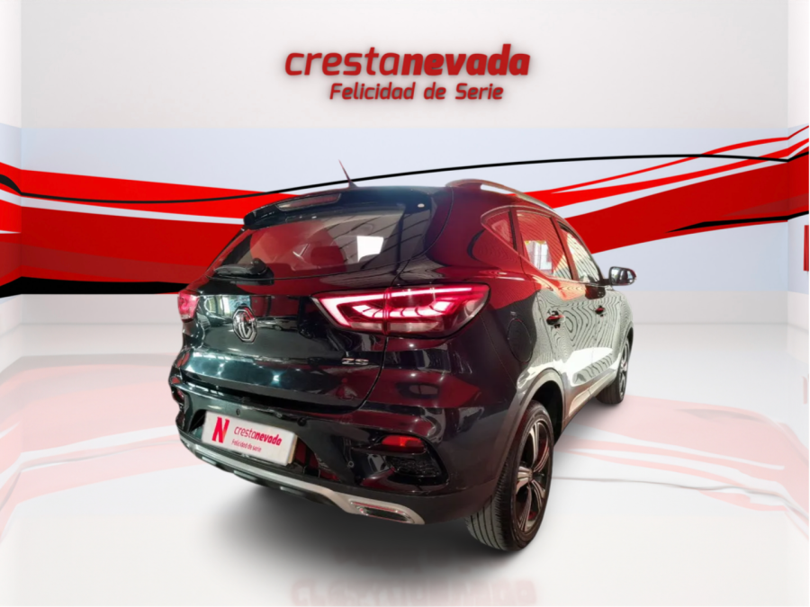 Imagen de Mg ZS