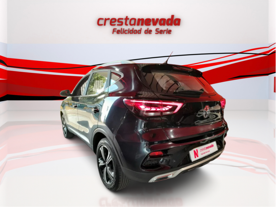 Imagen de Mg ZS