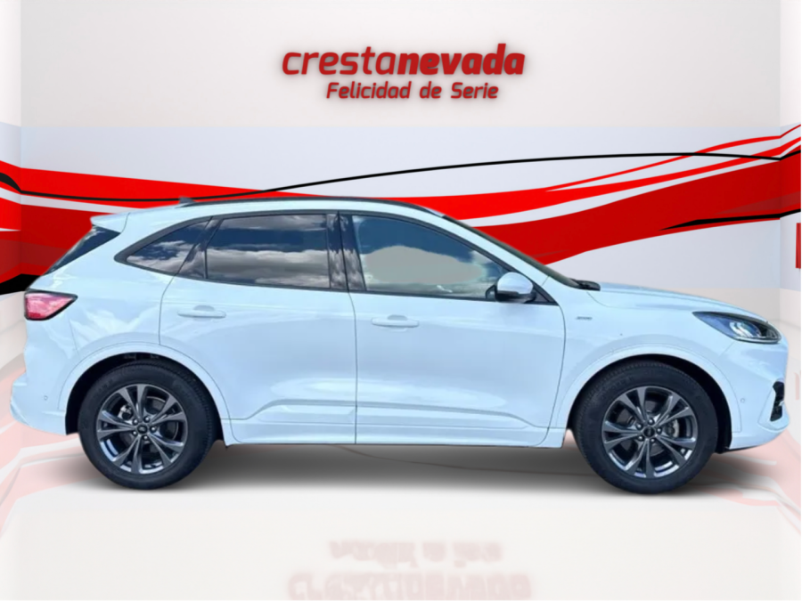 Imagen de Ford Kuga