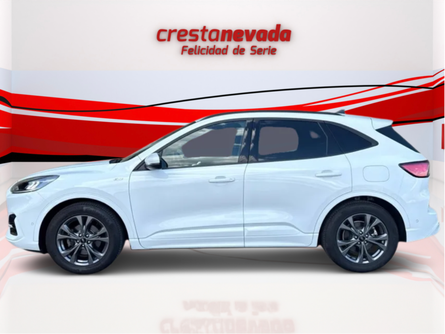 Imagen de Ford Kuga