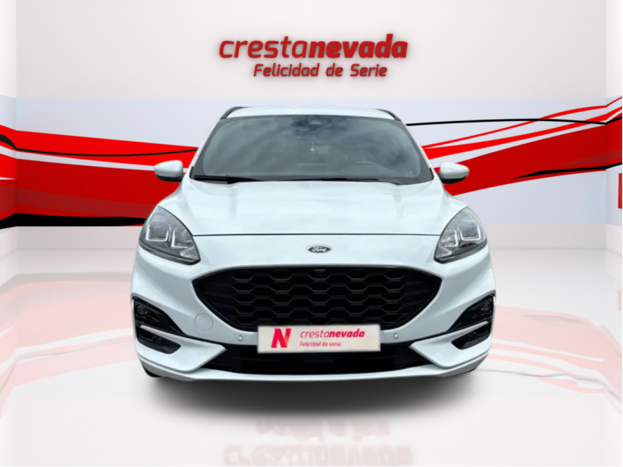 Imagen de Ford Kuga