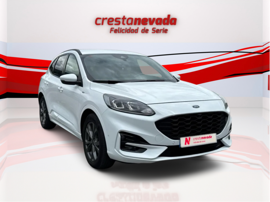 Imagen de Ford Kuga